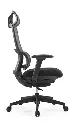 OHE-35negroLateral.webp